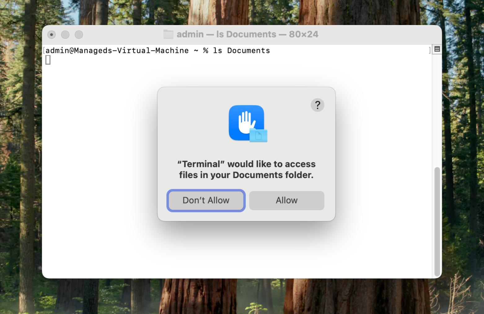 TCC Prompt